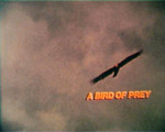 Bird of Prey (F-16 promotion)