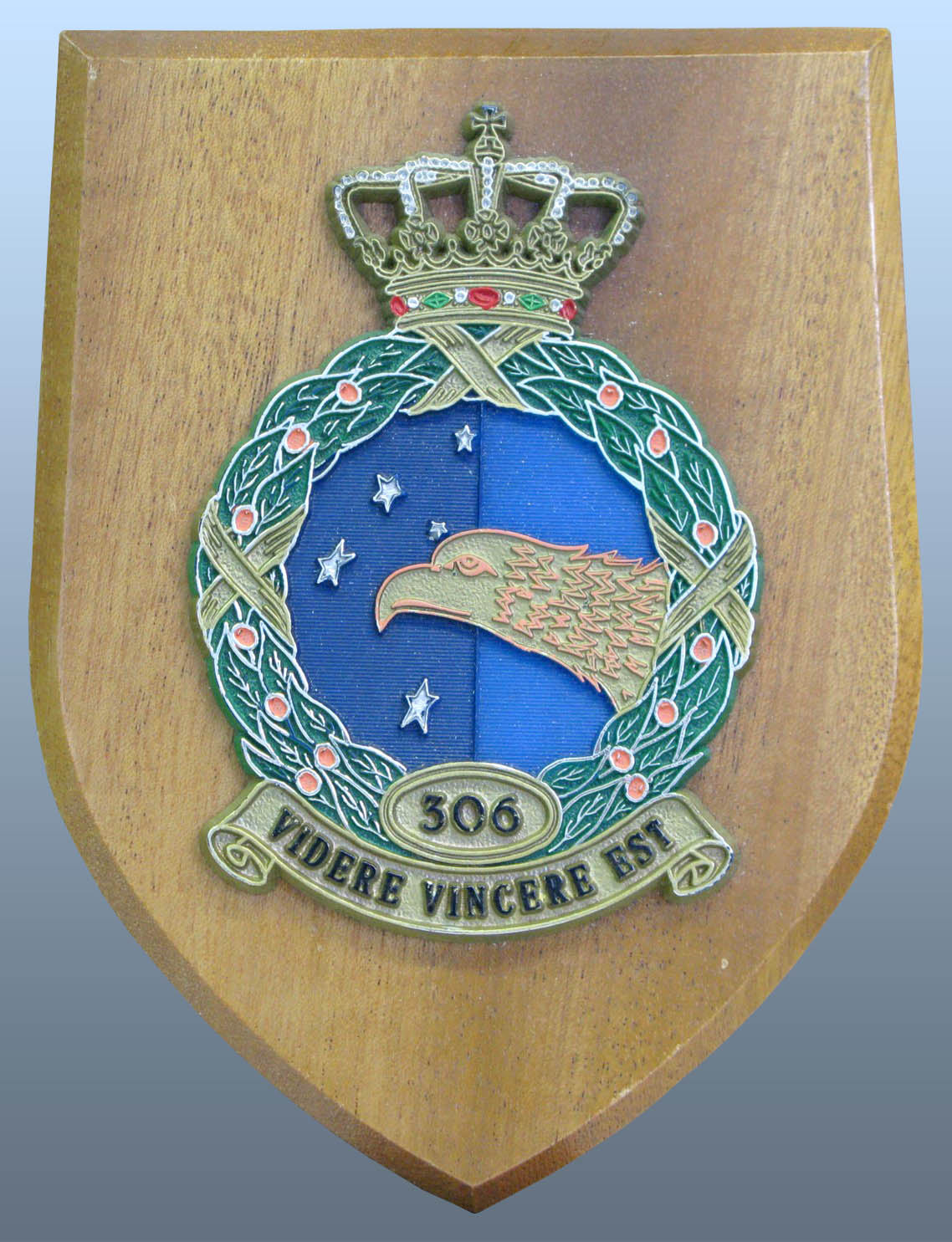 Plaque from RNLAF 306 Squadron