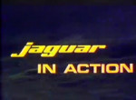 Jaguar in Action
