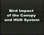 Birdstrike on Canopy and HUD System