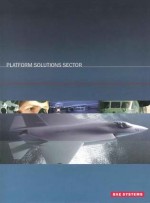 Platform Solutions Sector