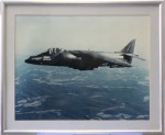AV8/B Night Attack (Harrier)